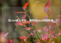 当CSGO遇上木杆，独特的CSGO木材奇遇