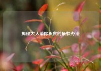 揭秘大人消除积食的最快办法