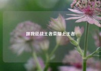 跟我征战王者荣耀上王者