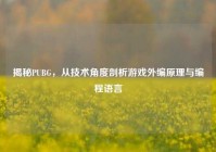 揭秘PUBG，从技术角度剖析游戏外编原理与编程语言
