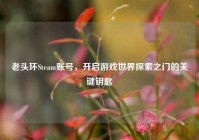 老头环Steam账号，开启游戏世界探索之门的关键钥匙