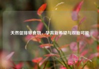 天然促排卵食物，孕育新希望与双胎可能