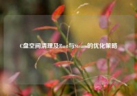C盘空间清理及Rust与Steam的优化策略