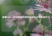 探索CF63，科技领域的独特存在与法兰标准尺寸