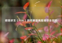 绝地求生（PUBG）游戏画面亮度调节全攻略