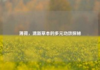 薄荷，清新草本的多元功效探秘