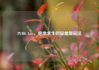PUBG Lite，绝地求生的轻量新玩法