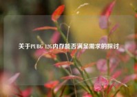 关于PUBG 12G内存能否满足需求的探讨