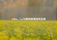 COD16、Visa与我的跨境游戏征程