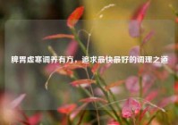 脾胃虚寒调养有方，追求最快更好的调理之道