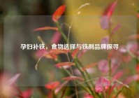 孕妇补铁，食物选择与铁剂品牌探寻