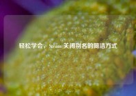 轻松学会，Steam 关闭别名的简洁方式