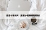 爱爱小视频网（爱爱小视频网站照片）