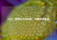 CSGO，更换BGM与武器，为激战添新韵