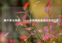 两千多元预算，CSGO2中有哪些值得入手的刀？
