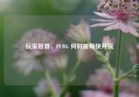 玩家翘首，PUBG 何时能畅快开玩