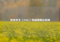 绝地求生（PUBG）电脑端畅玩指南