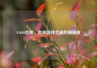 CSGO合枪，如何抉择合适的磨损度