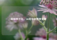 探秘西兰花，100克中的营养宝藏