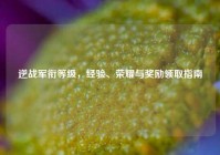 逆战军衔等级，经验、荣耀与奖励领取指南