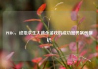 PUBG，绝地求生大逃杀游戏的成功密码案例剖析