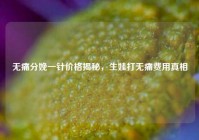 无痛分娩一针价格揭秘，生娃打无痛费用真相