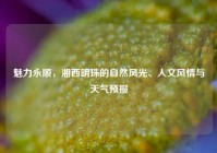 魅力永顺，湘西明珠的自然风光、人文风情与天气预报