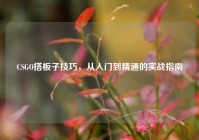 CSGO搭板子技巧，从入门到精通的实战指南