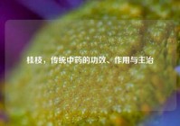 桂枝，传统中药的功效、作用与主治