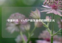 华是科技，1.16万户股东背后的前行之光