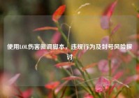 使用LOL伤害微调脚本，违规行为及封号风险探讨