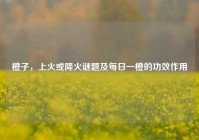 橙子，上火或降火谜题及每日一橙的功效作用