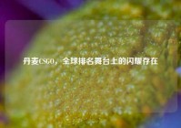 丹麦CSGO，全球排名舞台上的闪耀存在