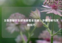 王者荣耀好友战绩查看全攻略，步骤详解与实用技巧