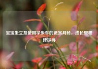 宝宝坐立及使用学步车的适宜月龄，成长里程碑探寻