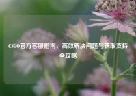 CSGO官方     指南，高效解决问题与获取支持全攻略