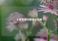 王者英雄的趣味社交圈