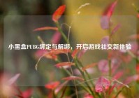 小黑盒PUBG绑定与解绑，开启游戏社交新体验