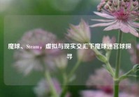 魔球、Steam，虚拟与现实交汇下魔球迷宫球探寻