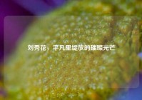 刘秀花，平凡里绽放的璀璨光芒