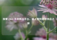探索 CSGO 手游饰品平台，踏上独特游戏饰品之旅