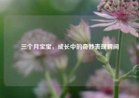 三个月宝宝，成长中的奇妙表现瞬间