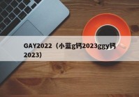 GAY2022（小蓝g钙2023ggy钙2023）