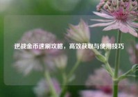 逆战金币速刷攻略，高效获取与使用技巧