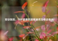 常安医院，守护健康的温暖港湾及     查询