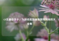 CF主播音效卡，为游戏氛围增添独特风味的大全集
