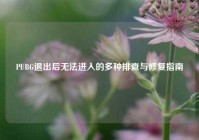 PUBG退出后无法进入的多种排查与修复指南