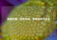 探秘柠檬，多样作用、神奇功效与禁忌