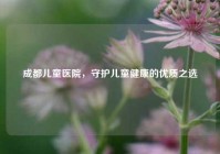 成都儿童医院，守护儿童健康的优质之选