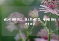 长沙市第四医院，滨水新城院区，守护健康的坚实堡垒